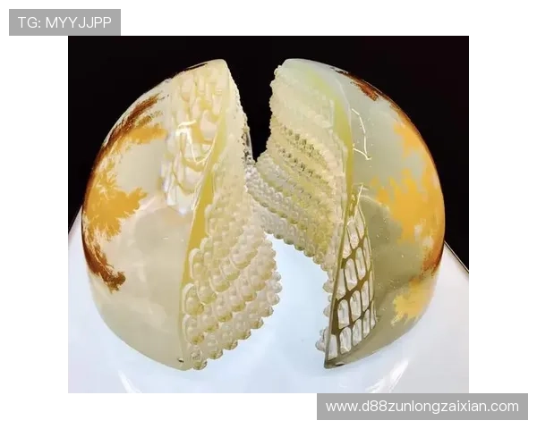 尊龙凯时人生就是博· 中国：探索游戏人生的无限可能与精彩体验